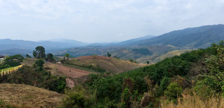 Maisema