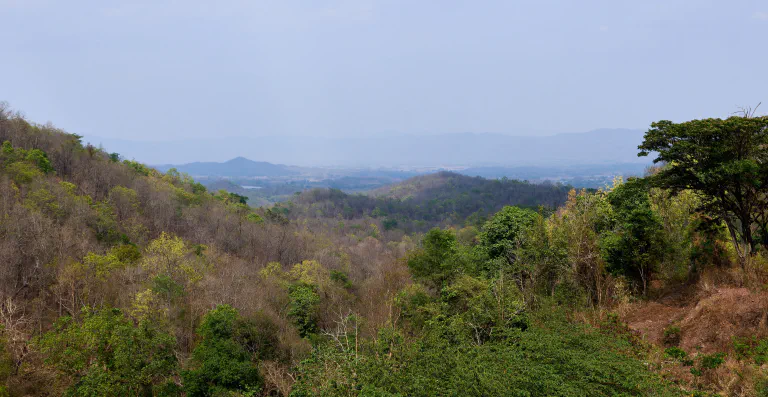 Maisemia