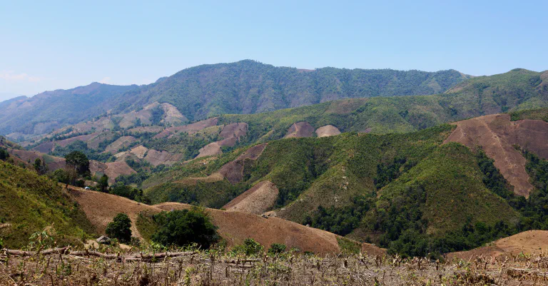 Maisema