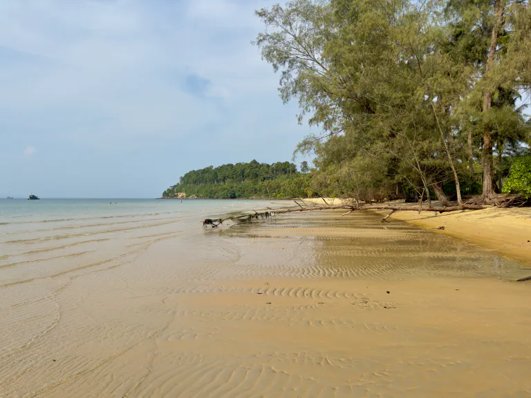 Lonely Beach